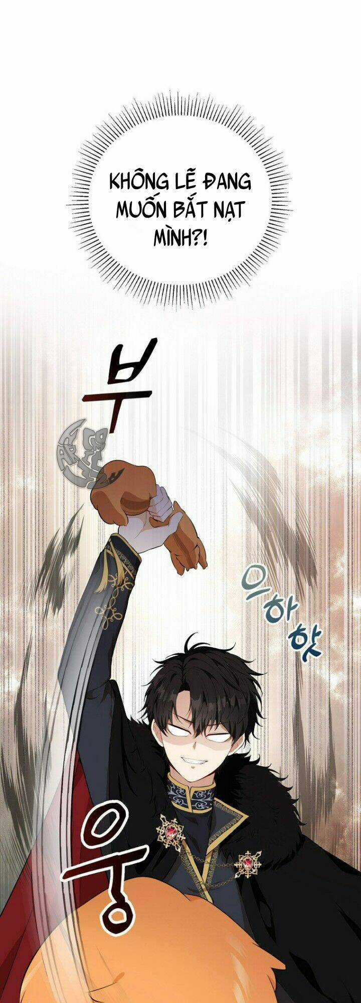 Sóc Nhỏ Tài Năng Chapter 5 trang 41