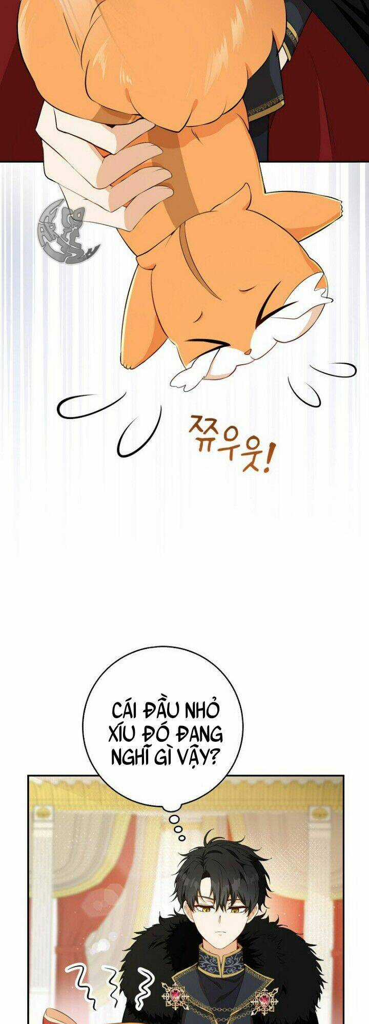 Sóc Nhỏ Tài Năng Chapter 5 trang 42