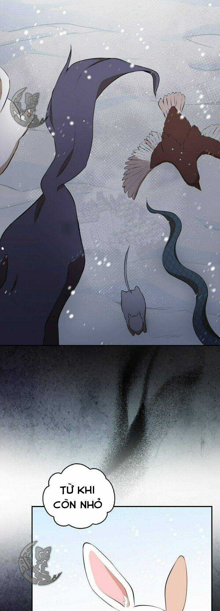 Sóc Nhỏ Tài Năng Chapter 5 trang 46