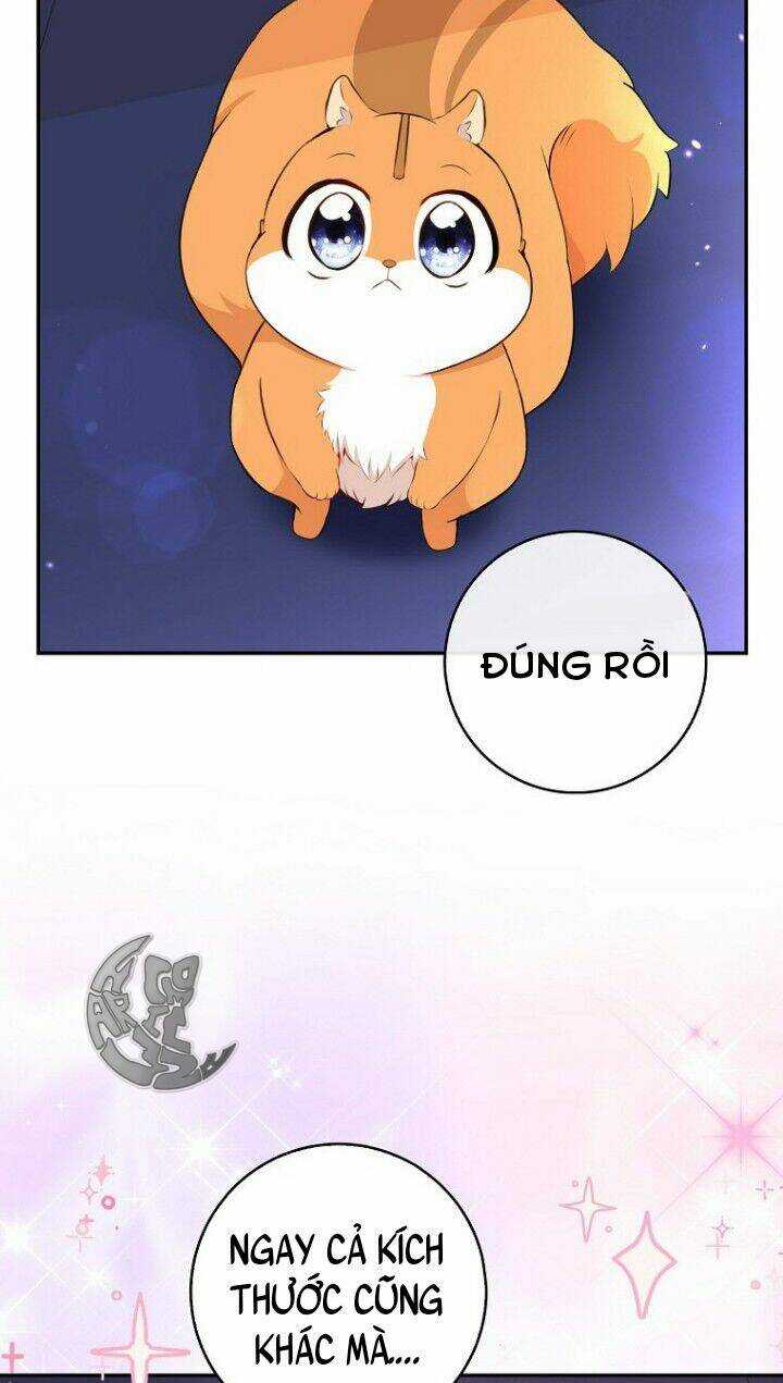 Sóc Nhỏ Tài Năng Chapter 5 trang 62