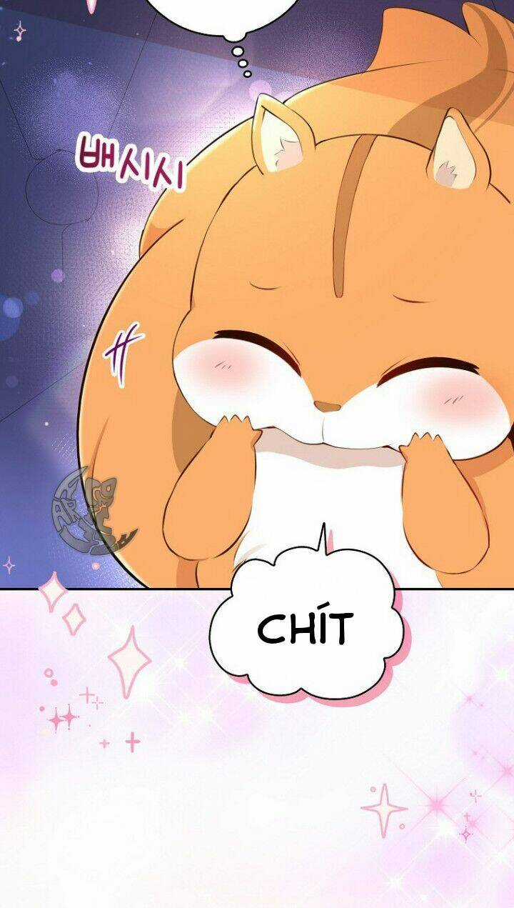 Sóc Nhỏ Tài Năng Chapter 5 trang 63