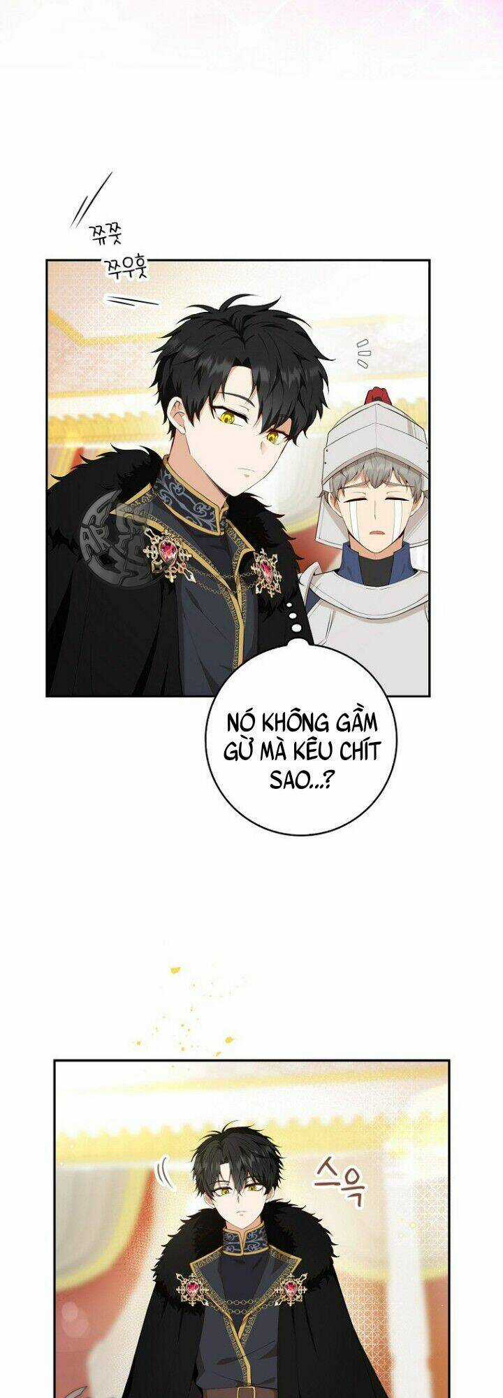 Sóc Nhỏ Tài Năng Chapter 5 trang 64