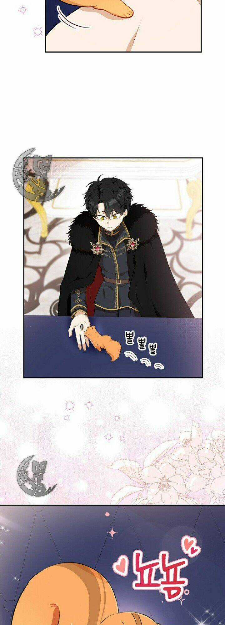 Sóc Nhỏ Tài Năng Chapter 5 trang 67