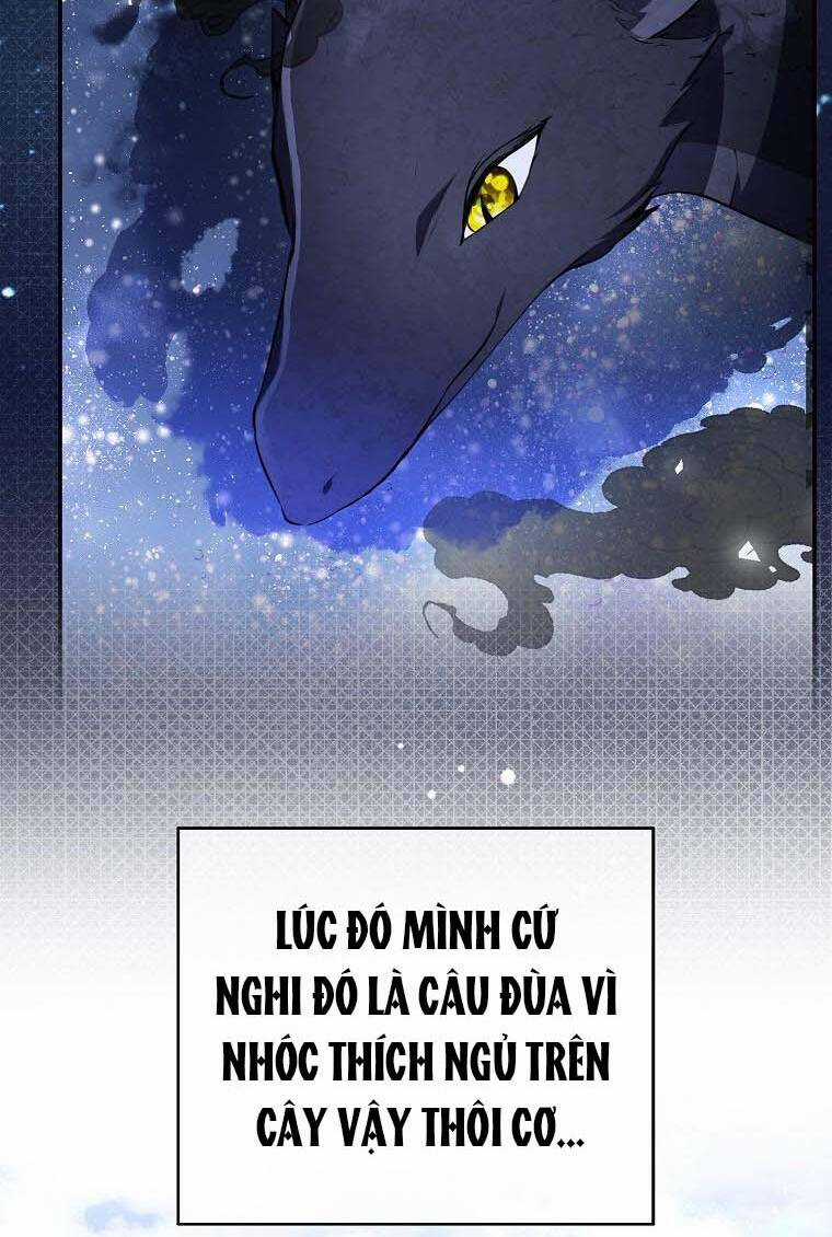 Sóc Nhỏ Tài Năng Chapter 53 trang 47