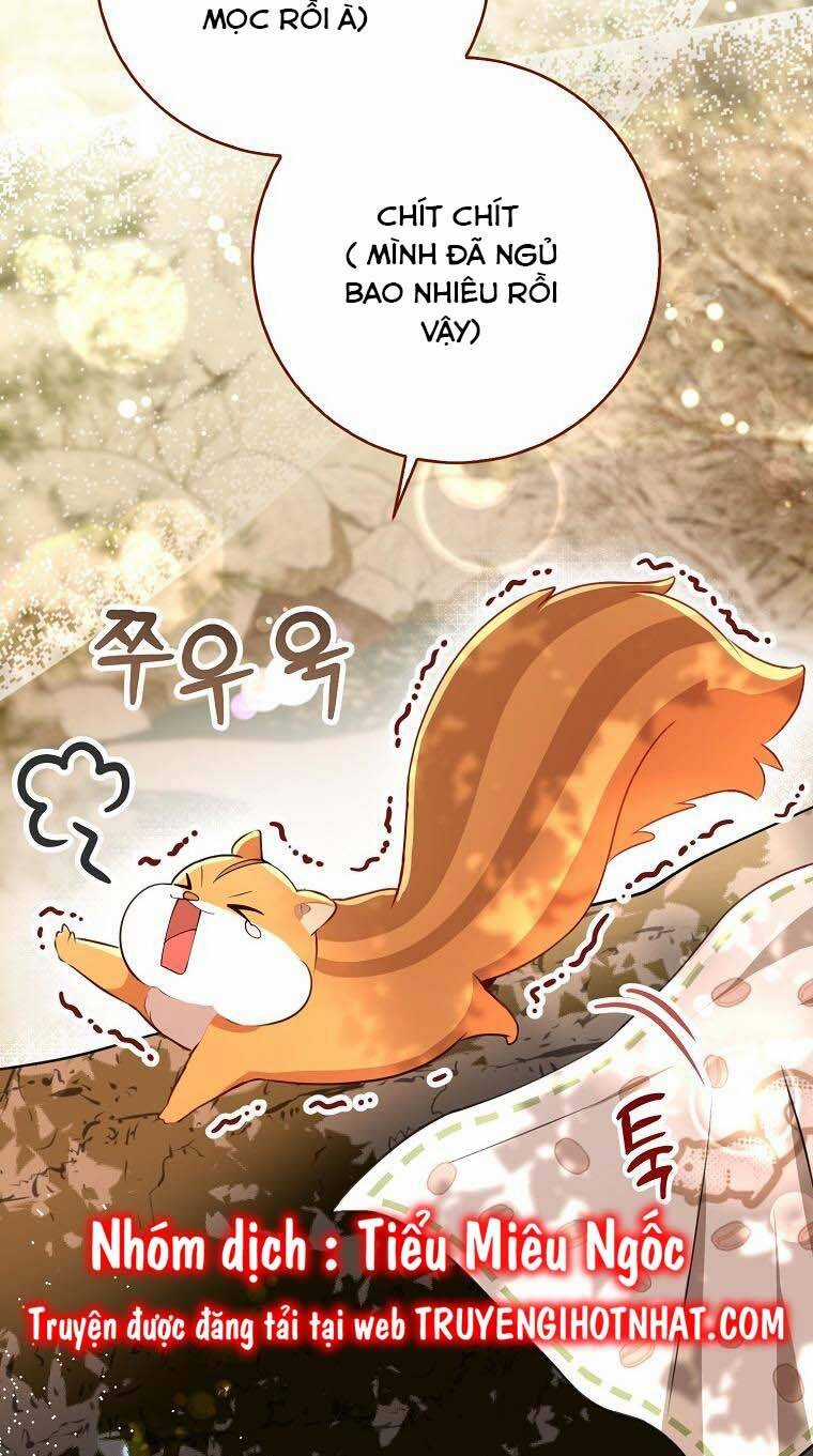 Sóc Nhỏ Tài Năng Chapter 53 trang 56