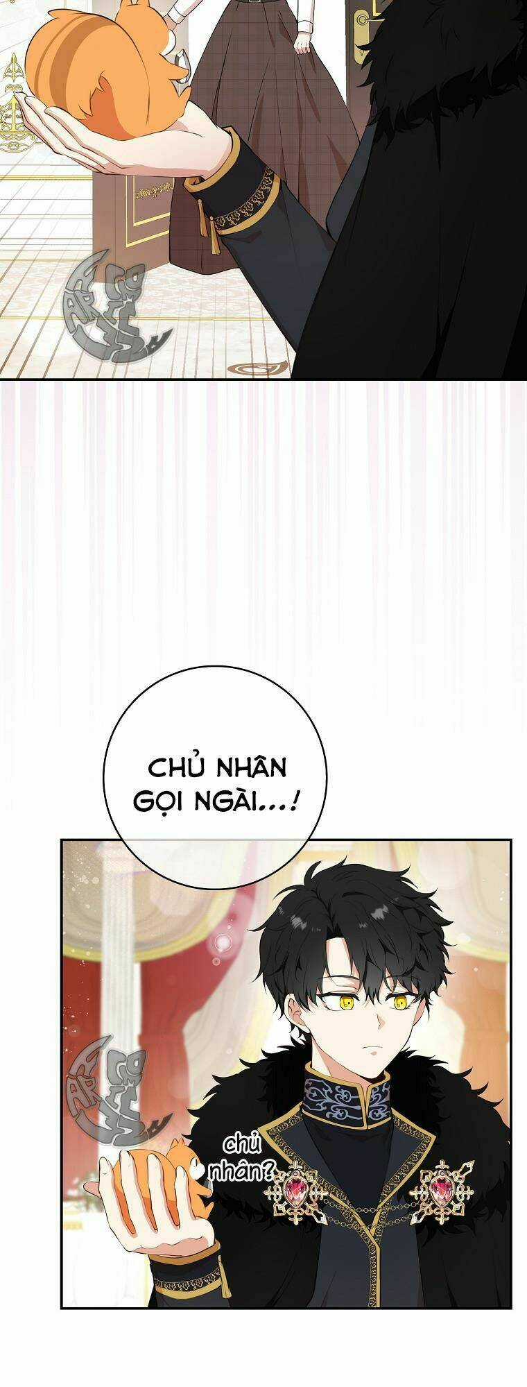 Sóc Nhỏ Tài Năng Chapter 6 trang 4