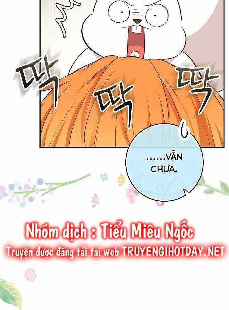 Sóc Nhỏ Tài Năng Chapter 67 trang 35