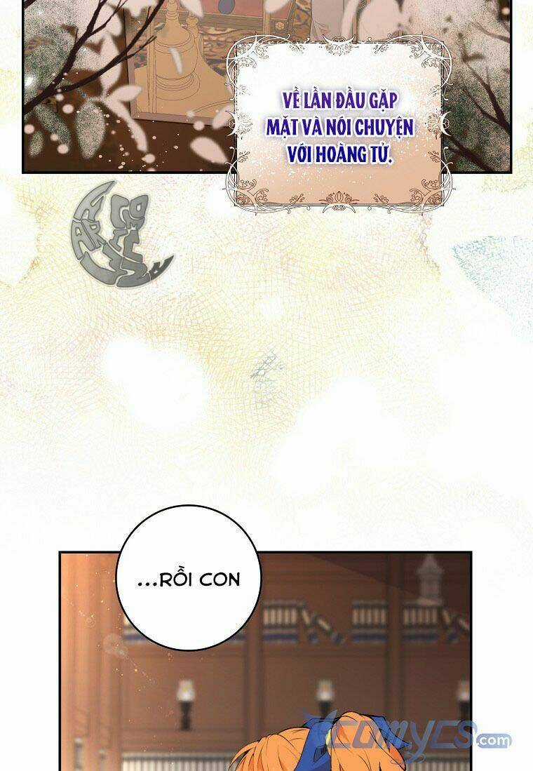 Sóc Nhỏ Tài Năng Chapter 7 trang 17