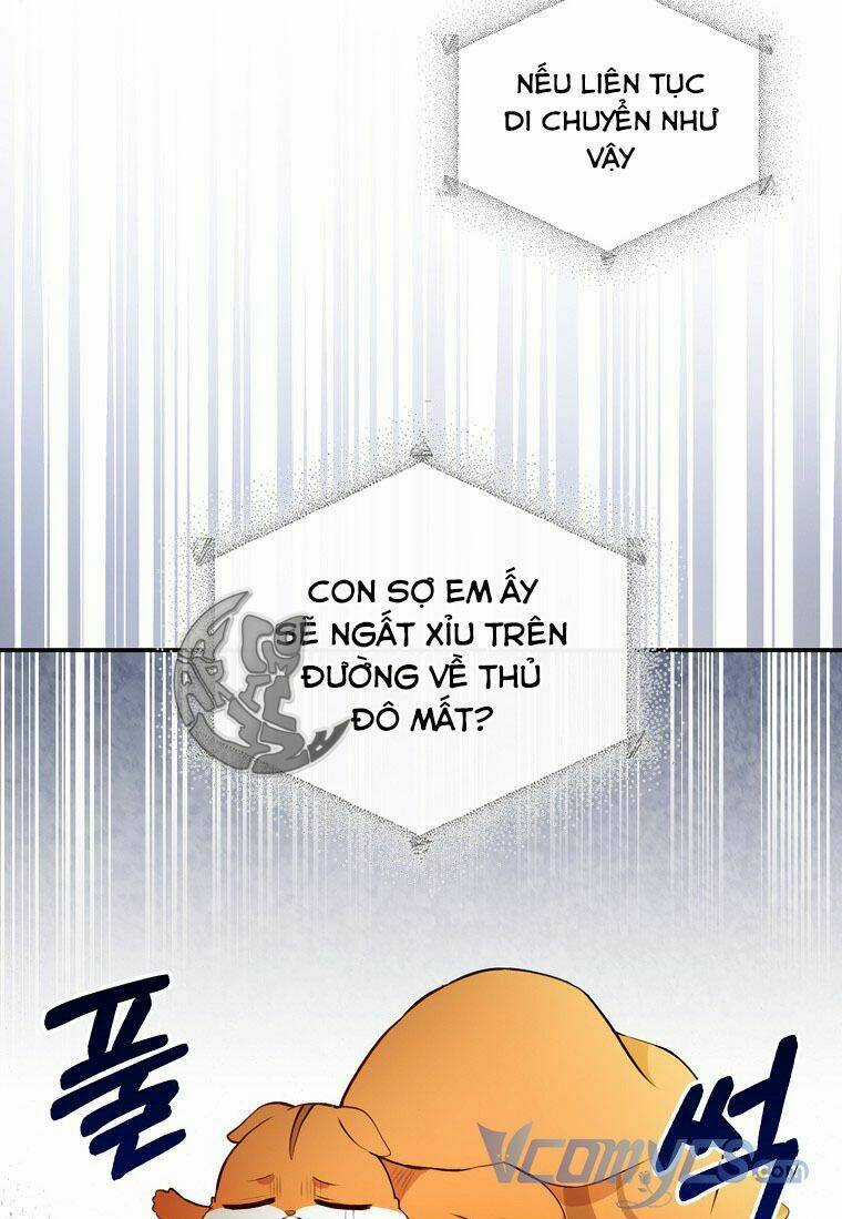 Sóc Nhỏ Tài Năng Chapter 7 trang 65