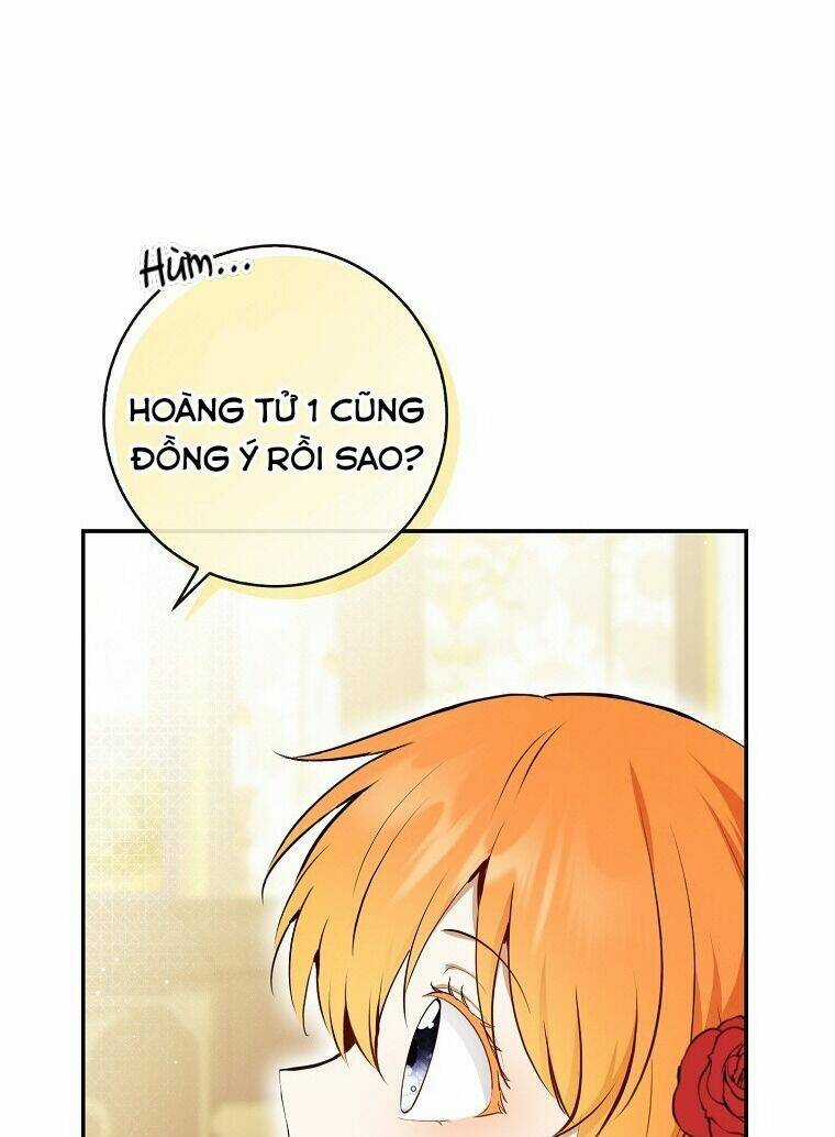 Sóc Nhỏ Tài Năng Chapter 70 trang 42