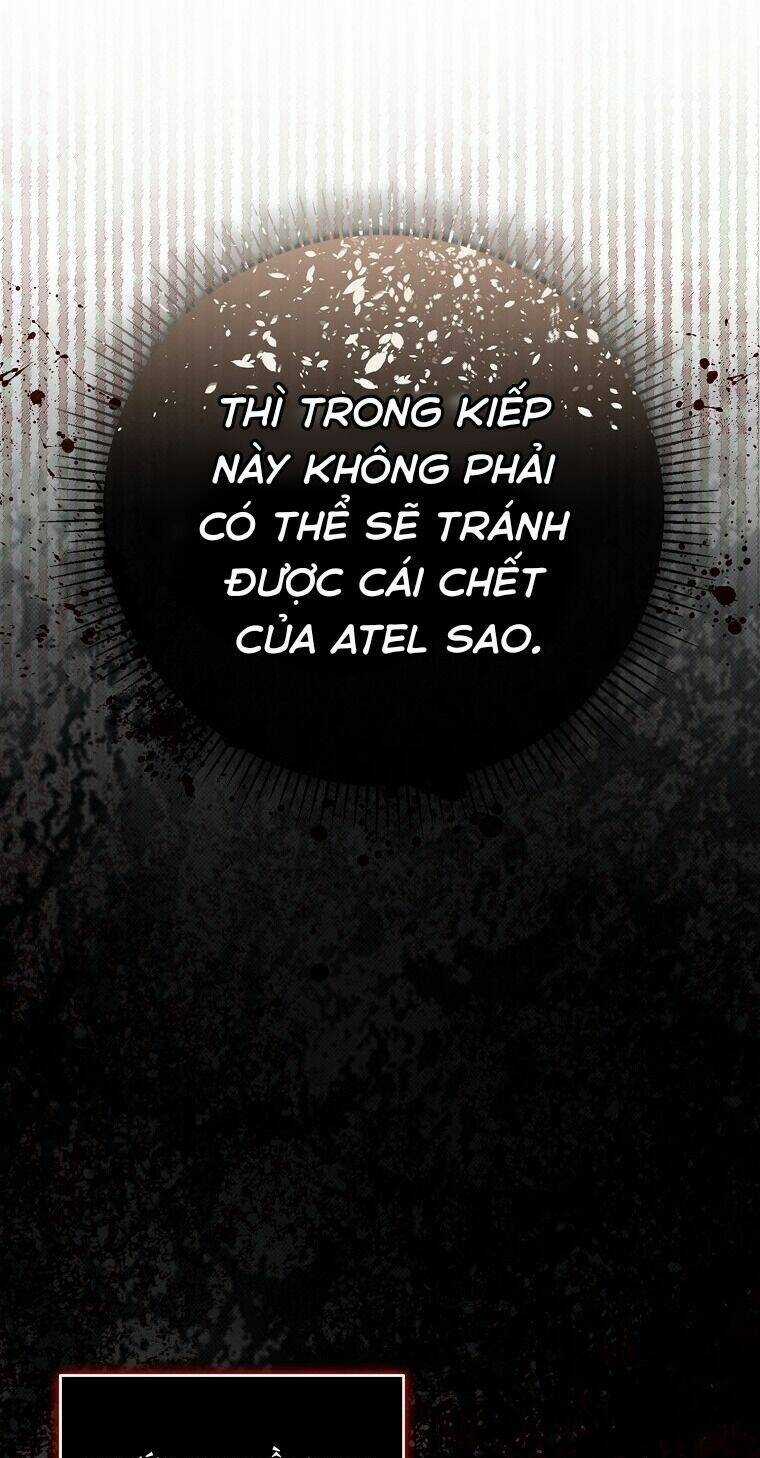 Sóc Nhỏ Tài Năng Chapter 70 trang 56