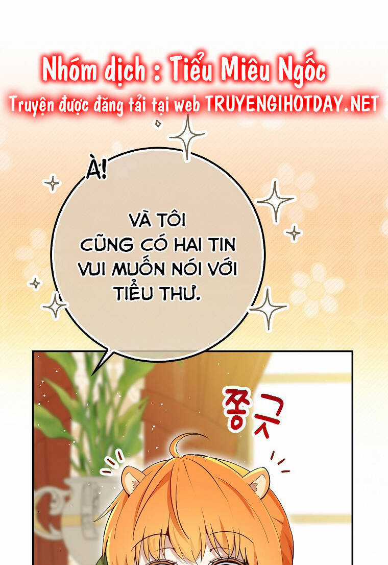 Sóc Nhỏ Tài Năng Chapter 72 trang 15