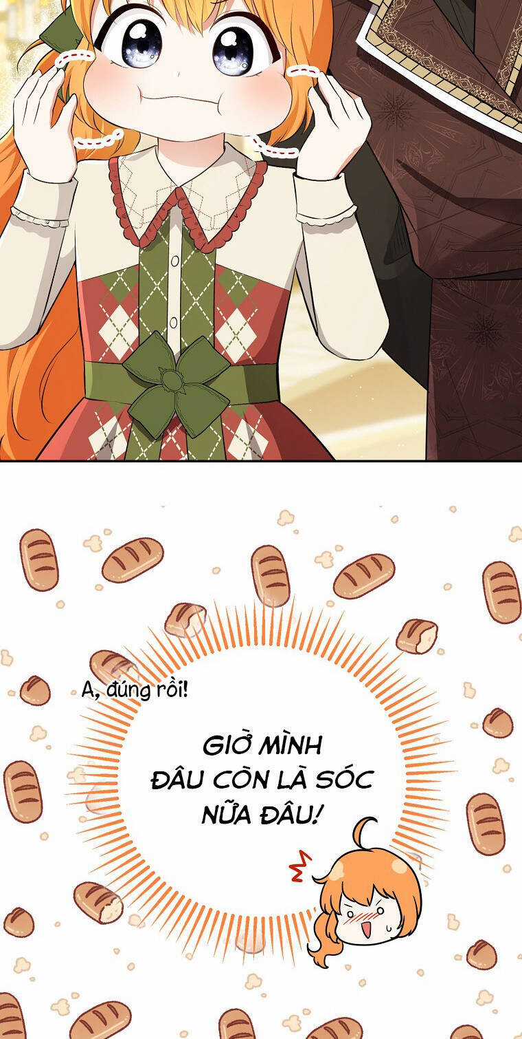 Sóc Nhỏ Tài Năng Chapter 72 trang 39