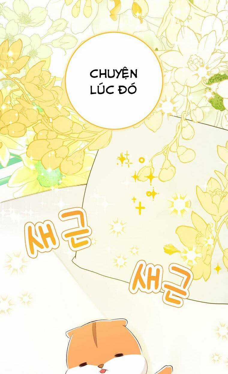 Sóc Nhỏ Tài Năng Chapter 72 trang 72