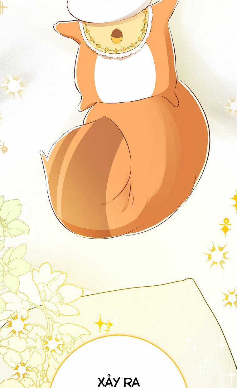 Sóc Nhỏ Tài Năng Chapter 72 trang 73