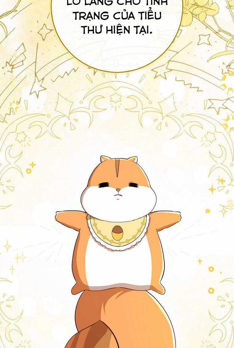 Sóc Nhỏ Tài Năng Chapter 73 trang 20