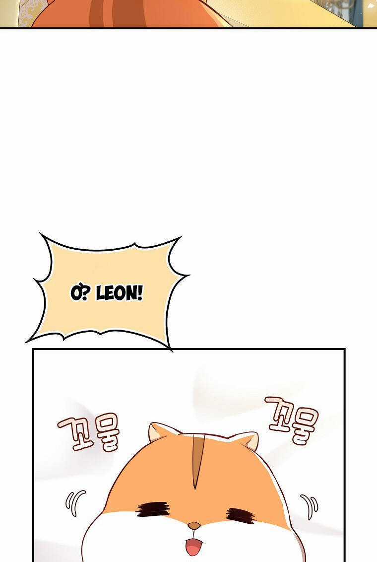 Sóc Nhỏ Tài Năng Chapter 73 trang 23