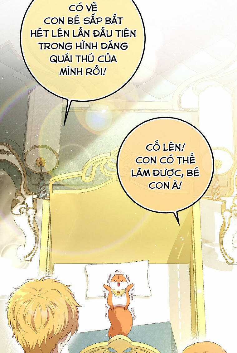 Sóc Nhỏ Tài Năng Chapter 73 trang 25