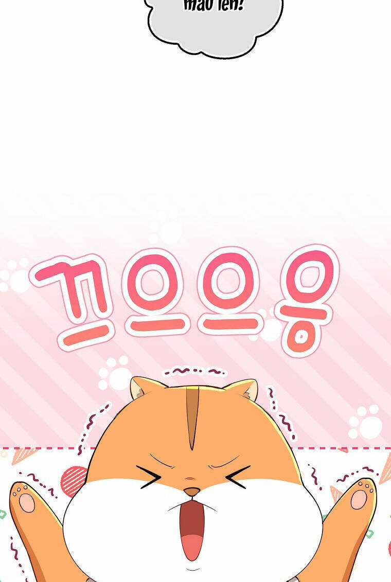 Sóc Nhỏ Tài Năng Chapter 73 trang 27