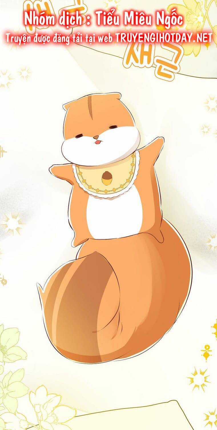 Sóc Nhỏ Tài Năng Chapter 73 trang 3