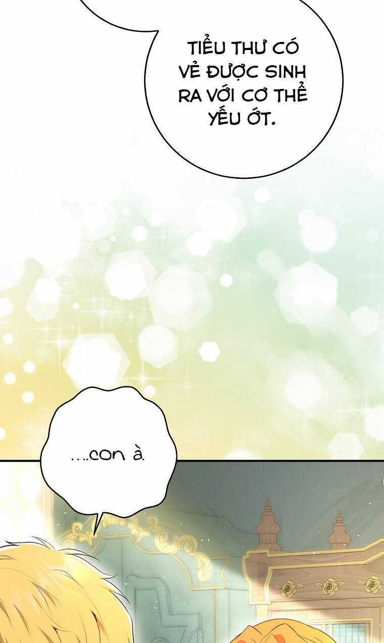 Sóc Nhỏ Tài Năng Chapter 73 trang 35