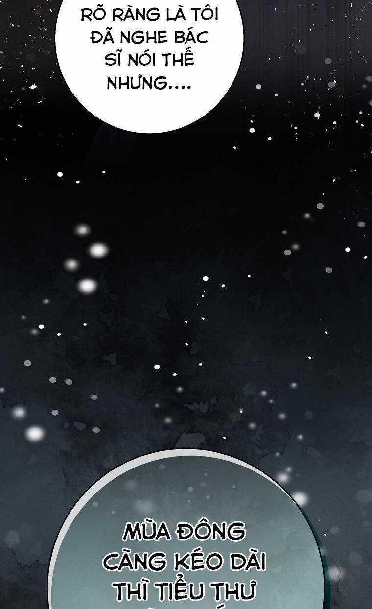 Sóc Nhỏ Tài Năng Chapter 73 trang 48