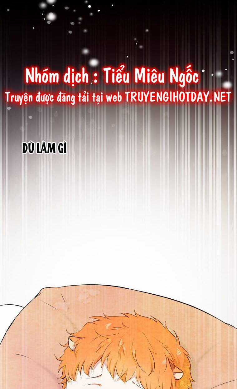 Sóc Nhỏ Tài Năng Chapter 73 trang 51