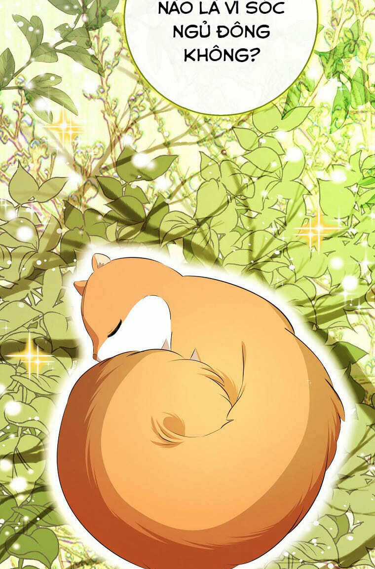 Sóc Nhỏ Tài Năng Chapter 73 trang 60