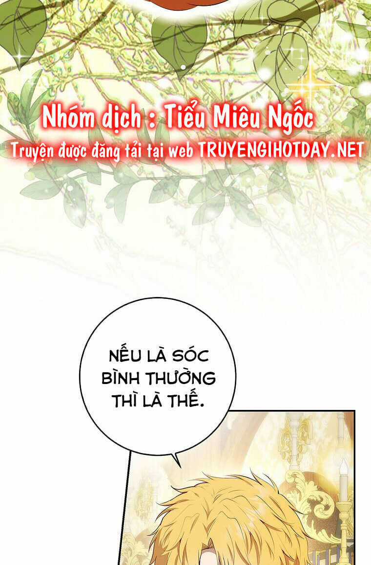 Sóc Nhỏ Tài Năng Chapter 73 trang 61