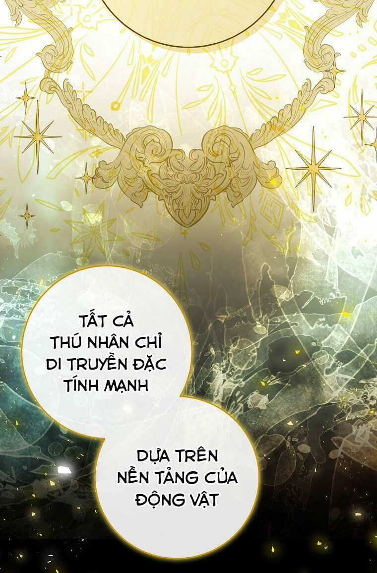 Sóc Nhỏ Tài Năng Chapter 73 trang 67