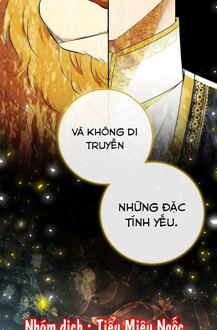Sóc Nhỏ Tài Năng Chapter 73 trang 69