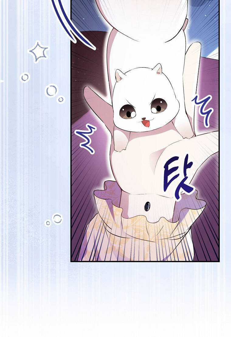 Sóc Nhỏ Tài Năng Chapter 73 trang 85