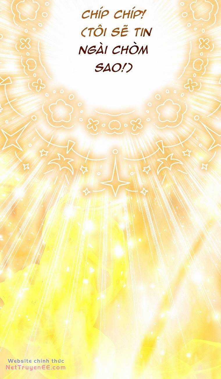 Sóc Nhỏ Tài Năng Chapter 74 trang 33