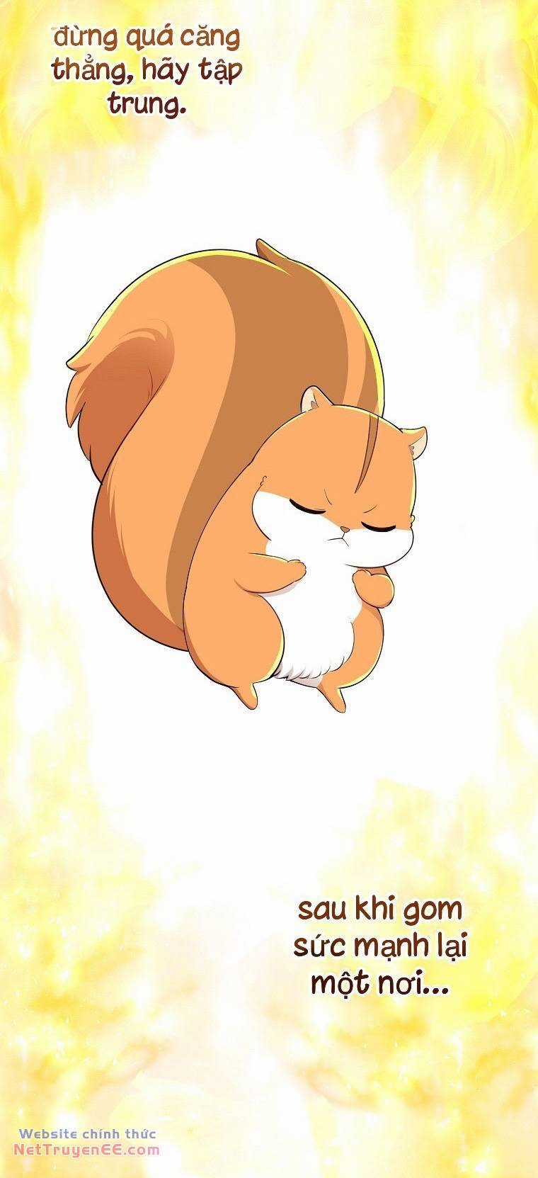 Sóc Nhỏ Tài Năng Chapter 74 trang 34