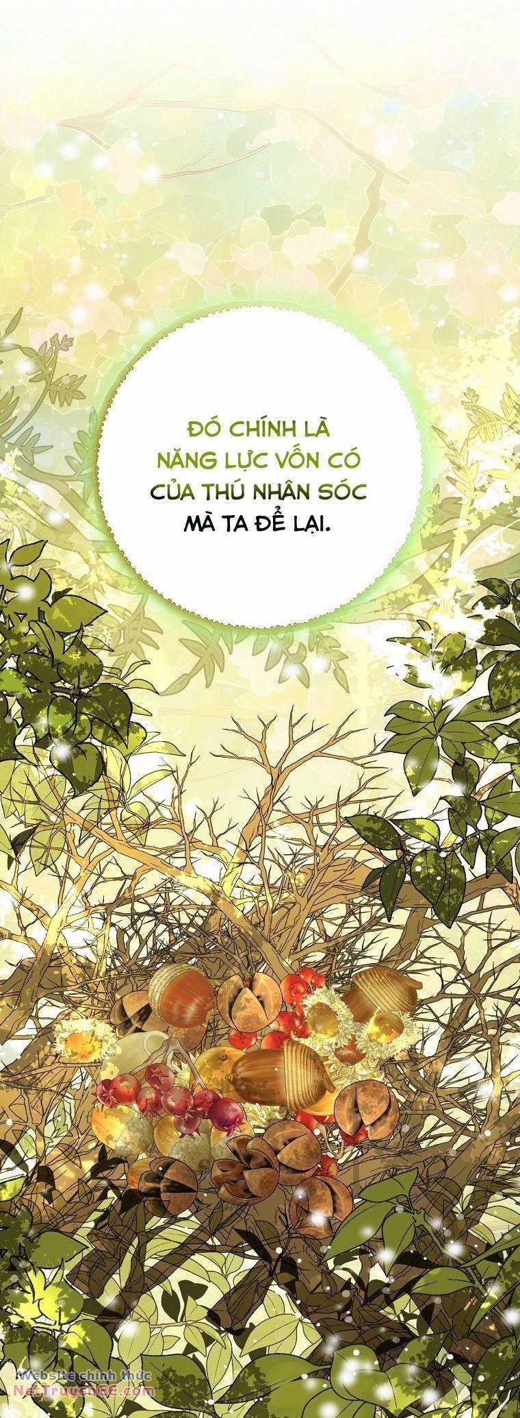 Sóc Nhỏ Tài Năng Chapter 74 trang 41