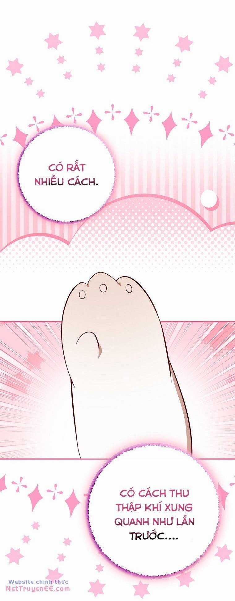 Sóc Nhỏ Tài Năng Chapter 74 trang 49