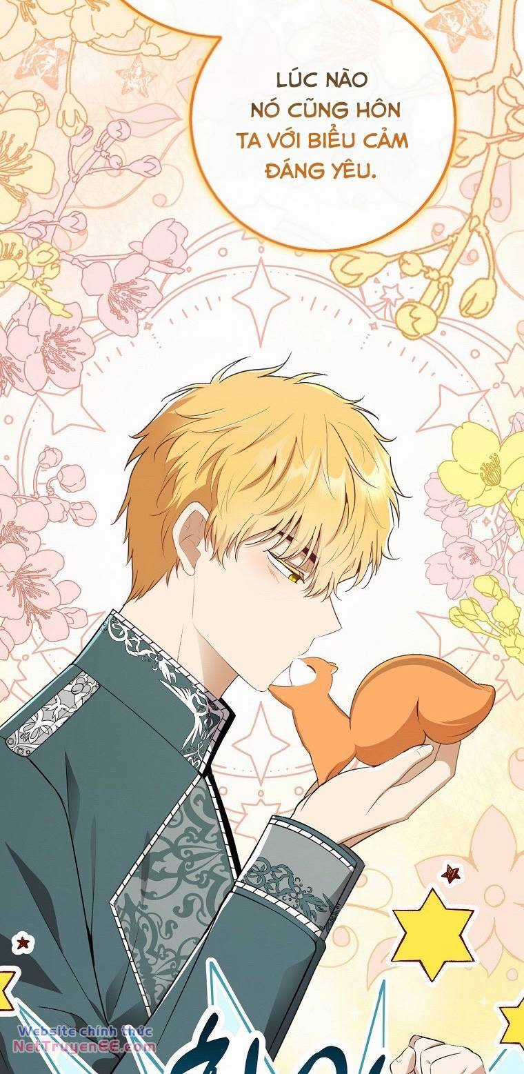 Sóc Nhỏ Tài Năng Chapter 74 trang 61