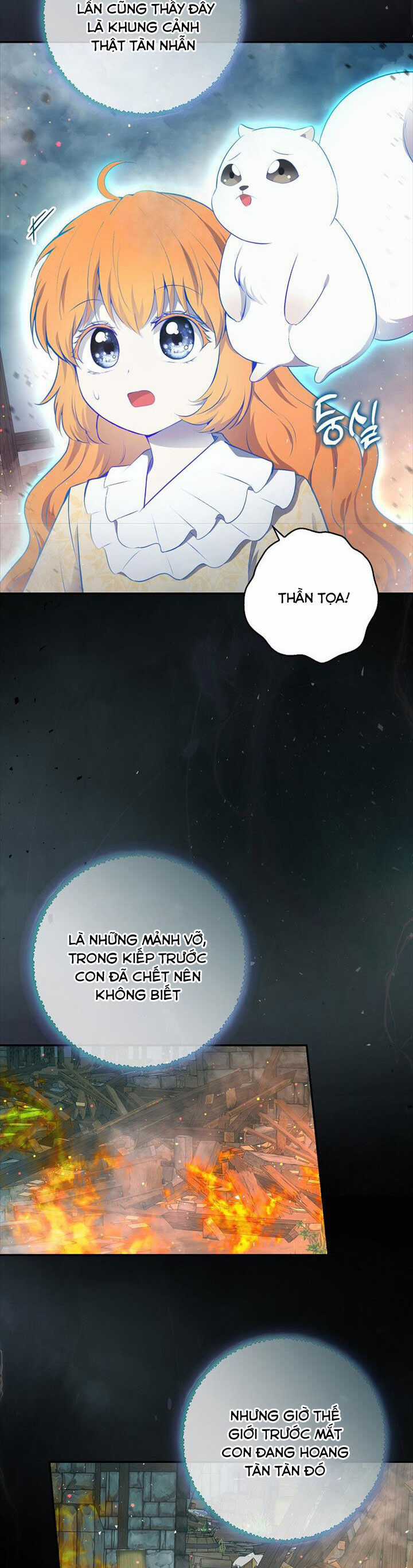 Sóc Nhỏ Tài Năng Chapter 77 trang 38