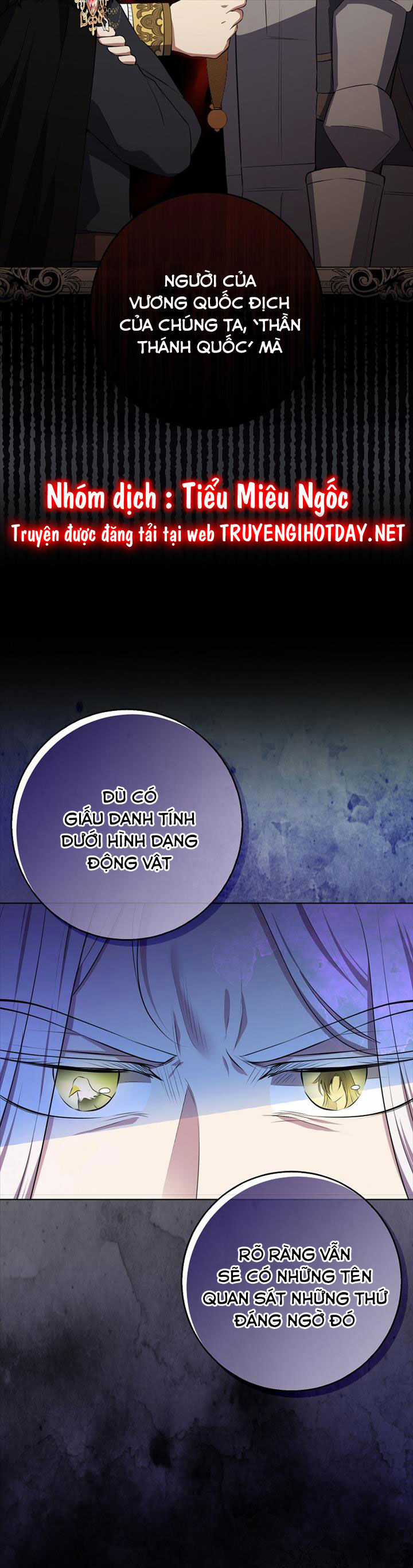 Sóc Nhỏ Tài Năng Chapter 77 trang 9