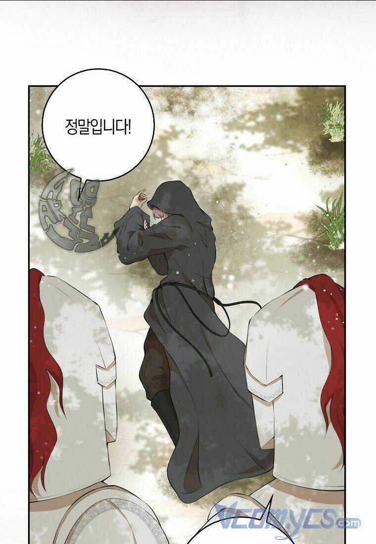 Sóc Nhỏ Tài Năng Chapter 8 trang 29