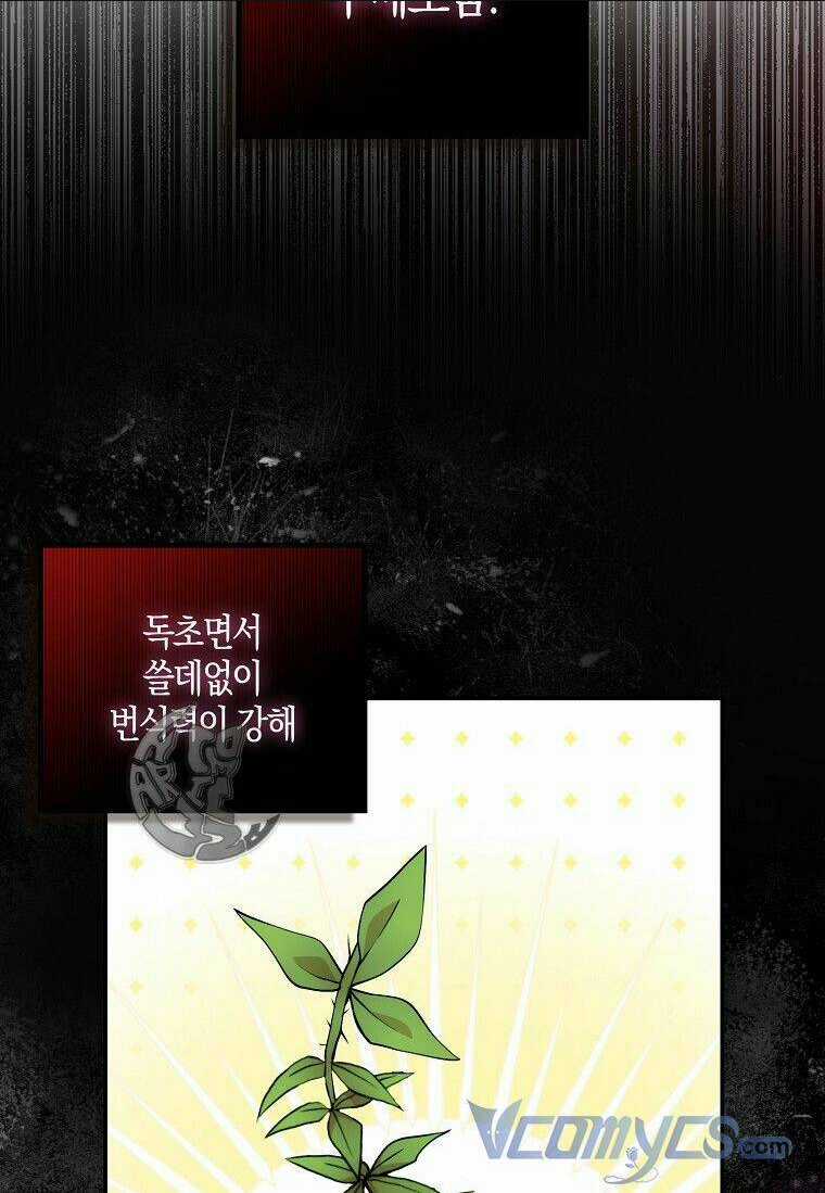 Sóc Nhỏ Tài Năng Chapter 8 trang 67