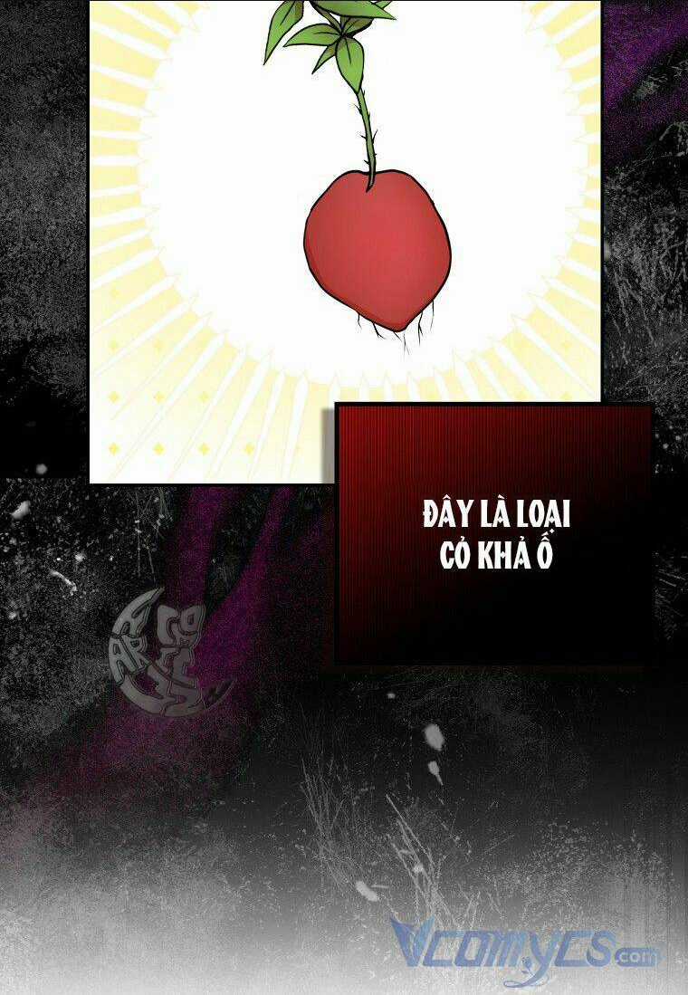 Sóc Nhỏ Tài Năng Chapter 8 trang 68