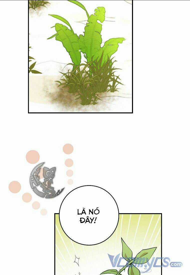 Sóc Nhỏ Tài Năng Chapter 8 trang 82