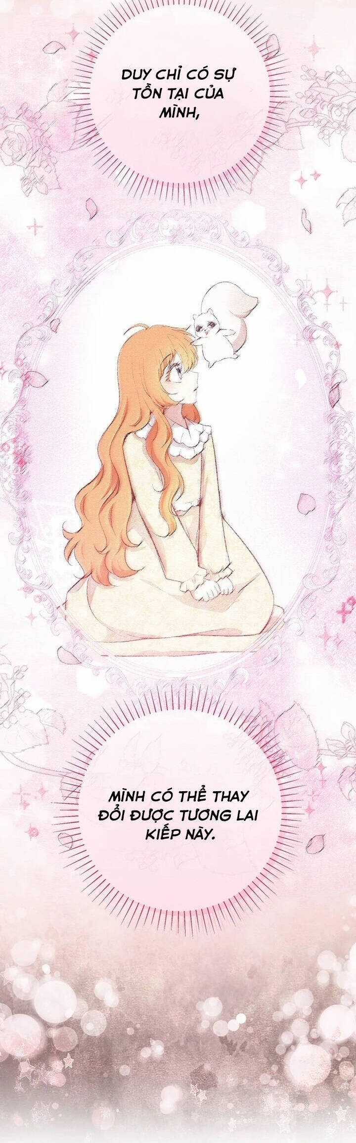 Sóc Nhỏ Tài Năng Chapter 85 trang 50