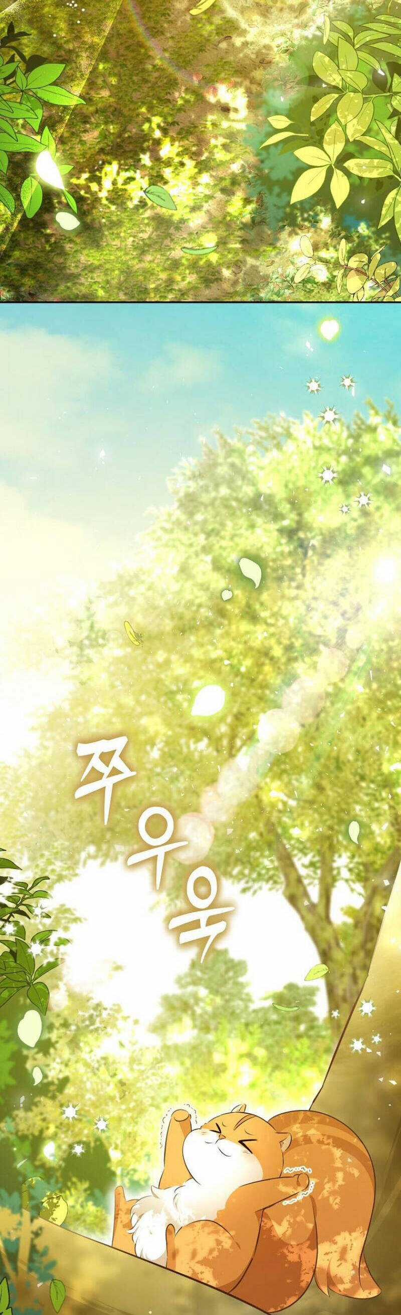 Sóc Nhỏ Tài Năng Chapter 90 trang 28