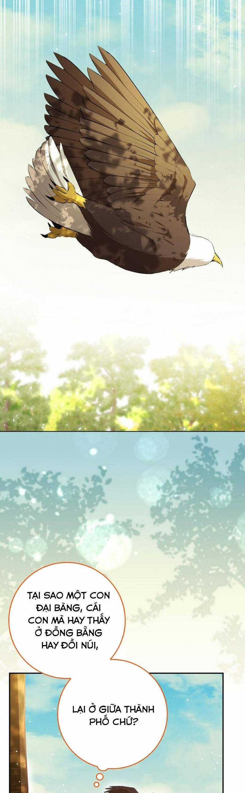Sóc Nhỏ Tài Năng Chapter 90 trang 31