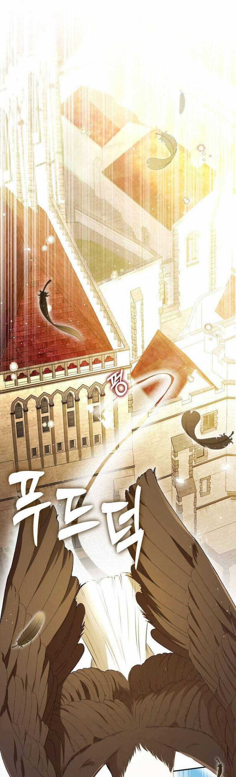 Sóc Nhỏ Tài Năng Chapter 91 trang 11