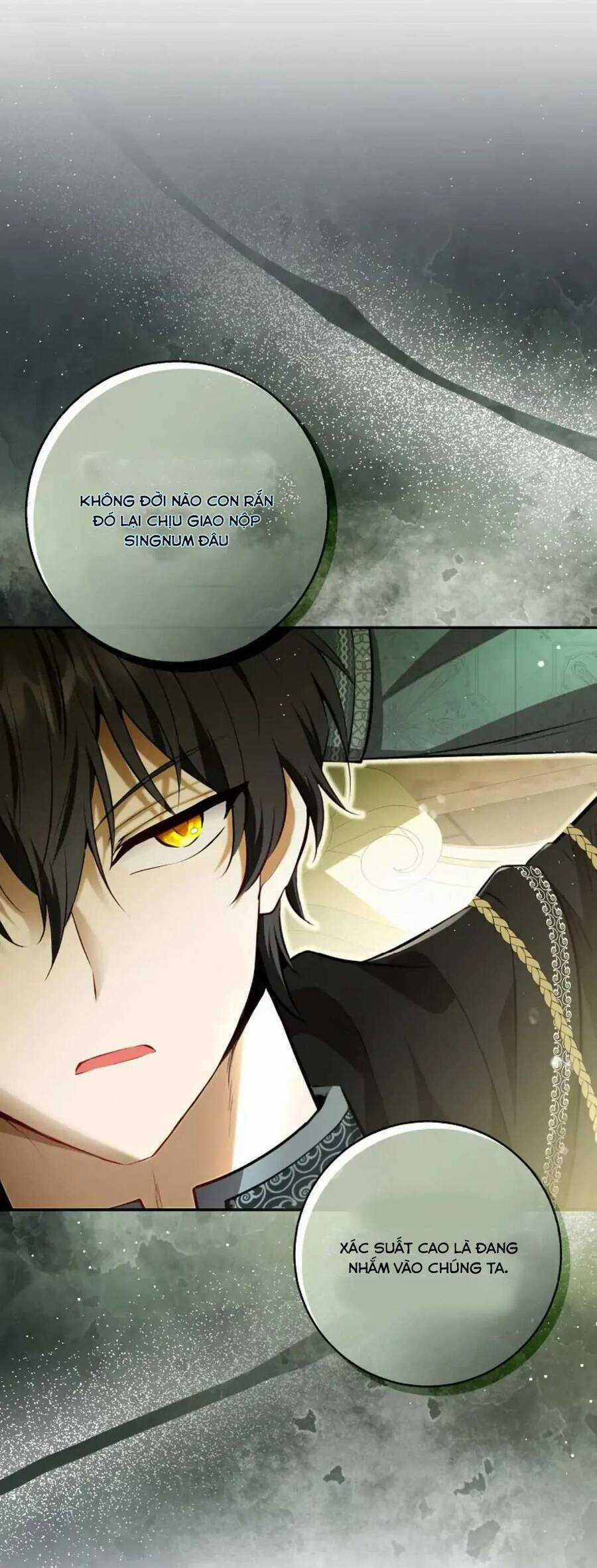 Sóc Nhỏ Tài Năng Chapter 92 trang 19