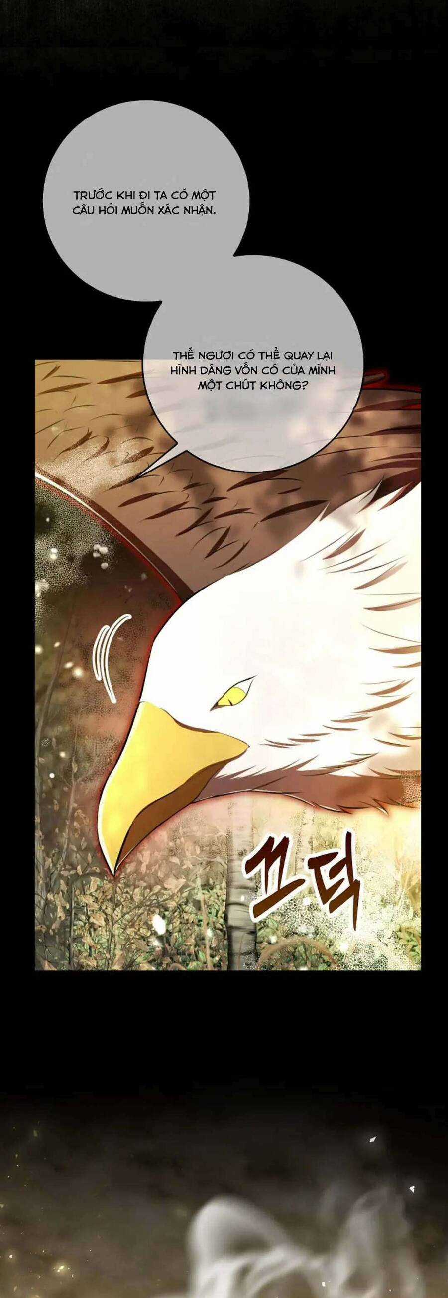 Sóc Nhỏ Tài Năng Chapter 96 trang 35