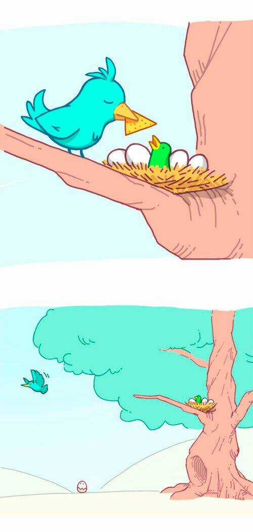 Soft Boiled Chapter 1 trang 2